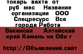 токарь. вахта. от 50 000 руб./мес. › Название организации ­ ООО Спецресурс - Все города Работа » Вакансии   . Алтайский край,Камень-на-Оби г.
